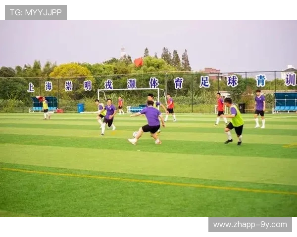 以中旗儿童足球为载体推动青少年体育发展与健康成长的实践与探索